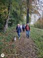 wandeling rondom Wijlre 4,5 of 7 km 