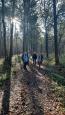 Wandeling Schinveld 7,6 km